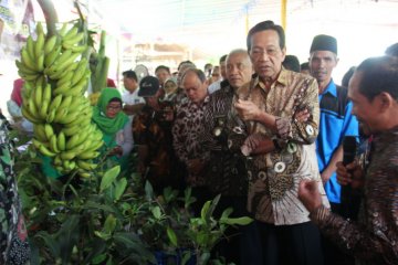 Sultan katakan petani organik harus bangun jaringan pemasaran