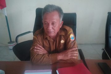 Pemkab sebut eksportir siap tampung manggis Lebak