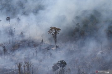 Hutan Amazon di Brazil terbakar