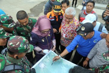 Pemkab Lumajang bantu padamkan kebakaran hutan di Gunung Semeru