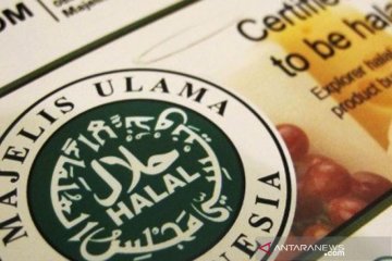 LPPOM MUI Riau terbitkan 185 sertifikat halal