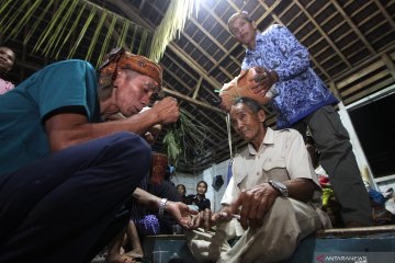 Tradisi syukur hasil panen suku Dayak