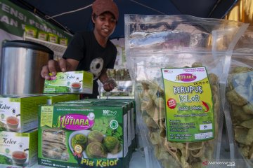 Kuliner olahan berbahan dasar buah Kelor