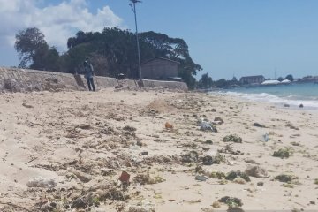 Titik krusial kerusakan lingkungan disebut Walhi NTT di Pasir Panjang