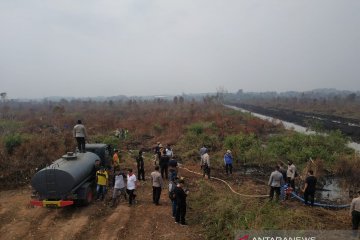 Dishut Kalsel kendalikan air irigasi ke lokasi kebakaran lahan gambut