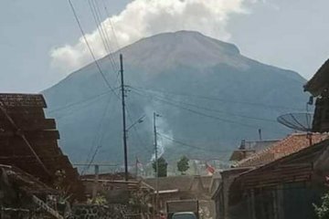 Hutan Gunung Sindoro Temanggung terbakar