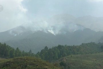 Pendakian Gunung Sumbing ditutup