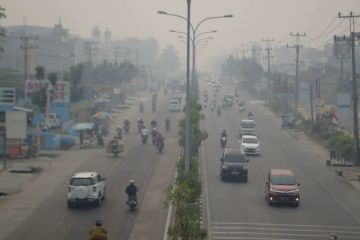 BMKG Pekanbaru pastikan kabut asap tak menyeberang ke Negeri Jiran