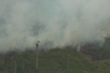 Kawasan hutan di Kalteng masih menyimpan titik api