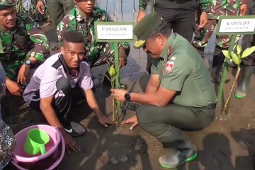 Bersama TNI tanam mangrove agar pantai tak abrasi