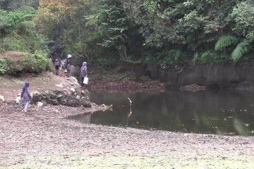 Kenali flora hutan melalui Jungle Tracking Semeru