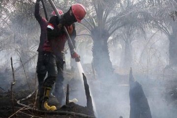 Penanggulangan karhutla Riau libatkan 5.800 personel gabungan