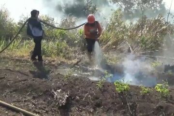 Polisi ingatkan sanksi pembakar lahan di Penajam Paser Utara
