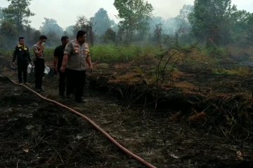 Polisi panggil 60 pemilik lahan terbakar di Sampit