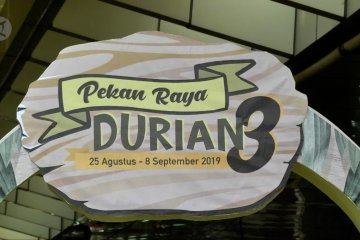 Berburu durian Aceh