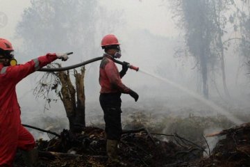 10 hektar lahan terbakar, warga diimbau mengungsi