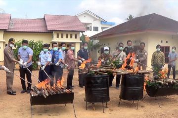 BKP musnahkan daging pembawa hama penyakit dan organisme pengganggu tumbuhan