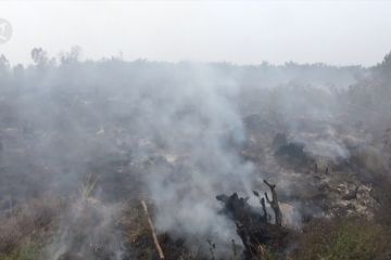 Guyuran hujan belum mampu padamkan api di lahan gambut