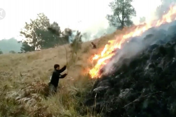 Lahan terbakar Gunung Semeru capai 30 hektar lebih