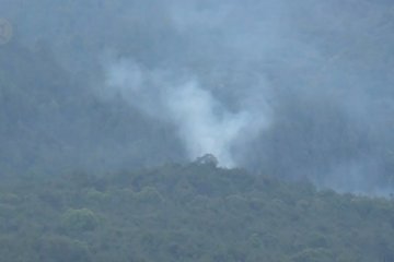 Pencari madu diduga sebabkan hutan Gunung Lawu terbakar