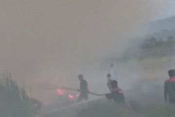 Polda Sumsel tetapkan 23 tersangka pembakar hutan & lahan
