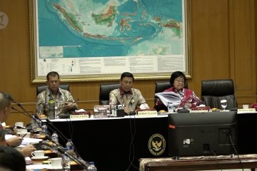 Wiranto sebut kebakaran hutan karena Pilkada Palangkaraya