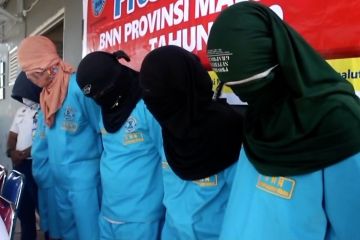 BNNP Malut kembali tangkap lima kurir narkoba