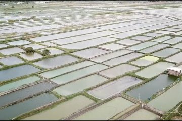 Gerpari untuk pengembangan usaha perikanan masyarakat