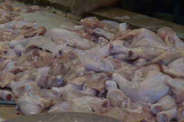 Impor daging ayam asal Brasil tidak bisa dilarang