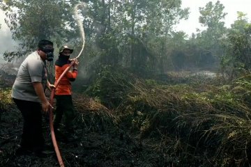 Kebakaran lahan kembali terjadi di Kotawaringin Timur