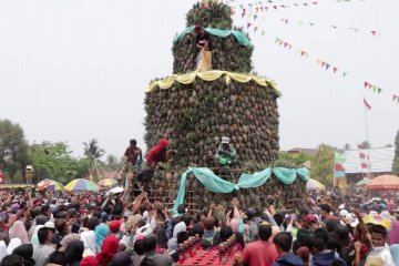 Panen meningkat, warga Mekarsari gelar festival nanas