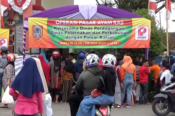 Pemprov Kalsel gelar operasi pasar ayam