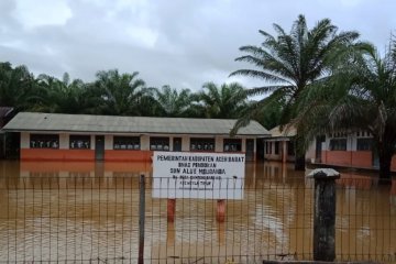 BPBD: Aceh Barat berpotensi banjir karena tingginya curah hujan
