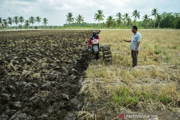 Kemitraan Pertamina Sumbagsel Dengan Petani