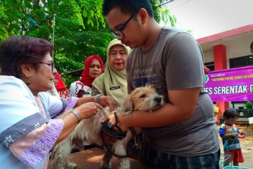 Sudin KPKP Jakarta Pusat lampaui target vaksin rabies