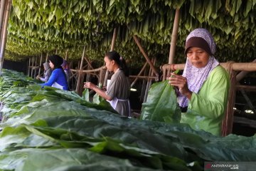 Kenaikan tarif cukai SKT harus di bawah SKM