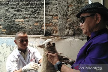 6.113 ekor hewan di Jakarta Barat sudah vaksinasi rabies gratis