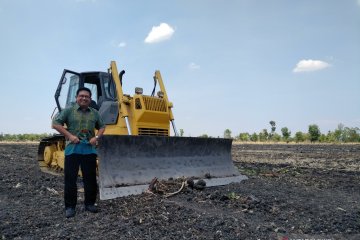PTPN X gandeng Perhutani buka lahan budi daya tebu di Bojonegoro