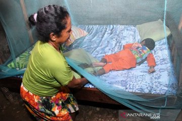 Kabupaten Jayapura Terus Berupaya Eliminasi Angka Malaria