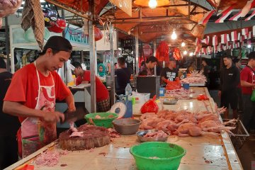 Harga daging ayam di Pontianak kembali naik tembus Rp28.000 per kg