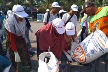 Jernihkan Teluk Jakarta 3 ton kulit Kerang hijau ditebar di Ancol