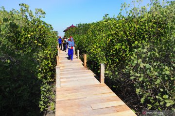 Wisata edukasi hutan mangrove terbesar di Madura