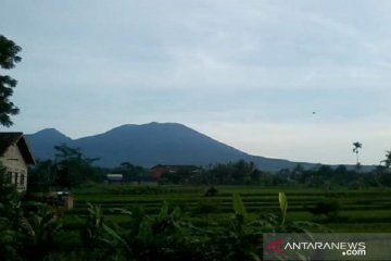 Jalur pendakian Gunung Gede Pangrango aman selama kemarau