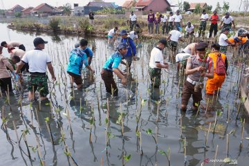 TNI Tanam300.074 mangrove dari Sabang sampai Merauke