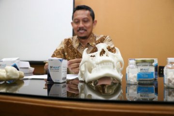 Dosen UNS temukan "bone graft" lokal