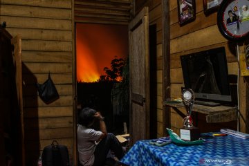 Kebakaran lahan gambut Pekanbaru