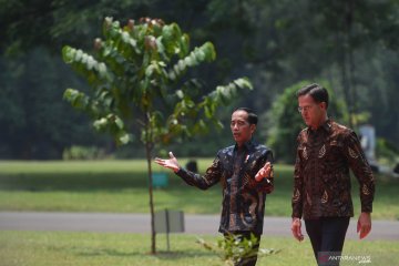 Presiden Jokowi terima PM Belanda