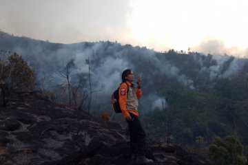 BPBD Jabar sebutkan kebakaran lahan di Bandung capai 226 hektare