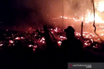 DPRD Kotim  janji tingkatkan anggaran penanggulangan karhutla