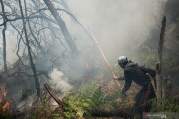 Kebakaran lahan di Kawah Putih Ciwidey diduga dipicu puntung rokok